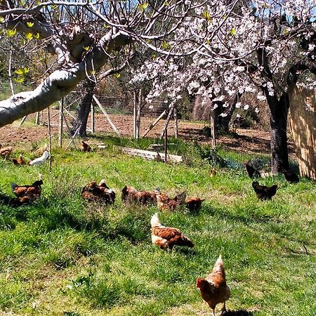 Azienda Agricola "Valle Dell'Alento" Hostal Chieti Exterior foto