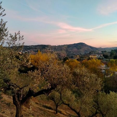 Azienda Agricola "Valle Dell'Alento" Hostal Chieti Exterior foto