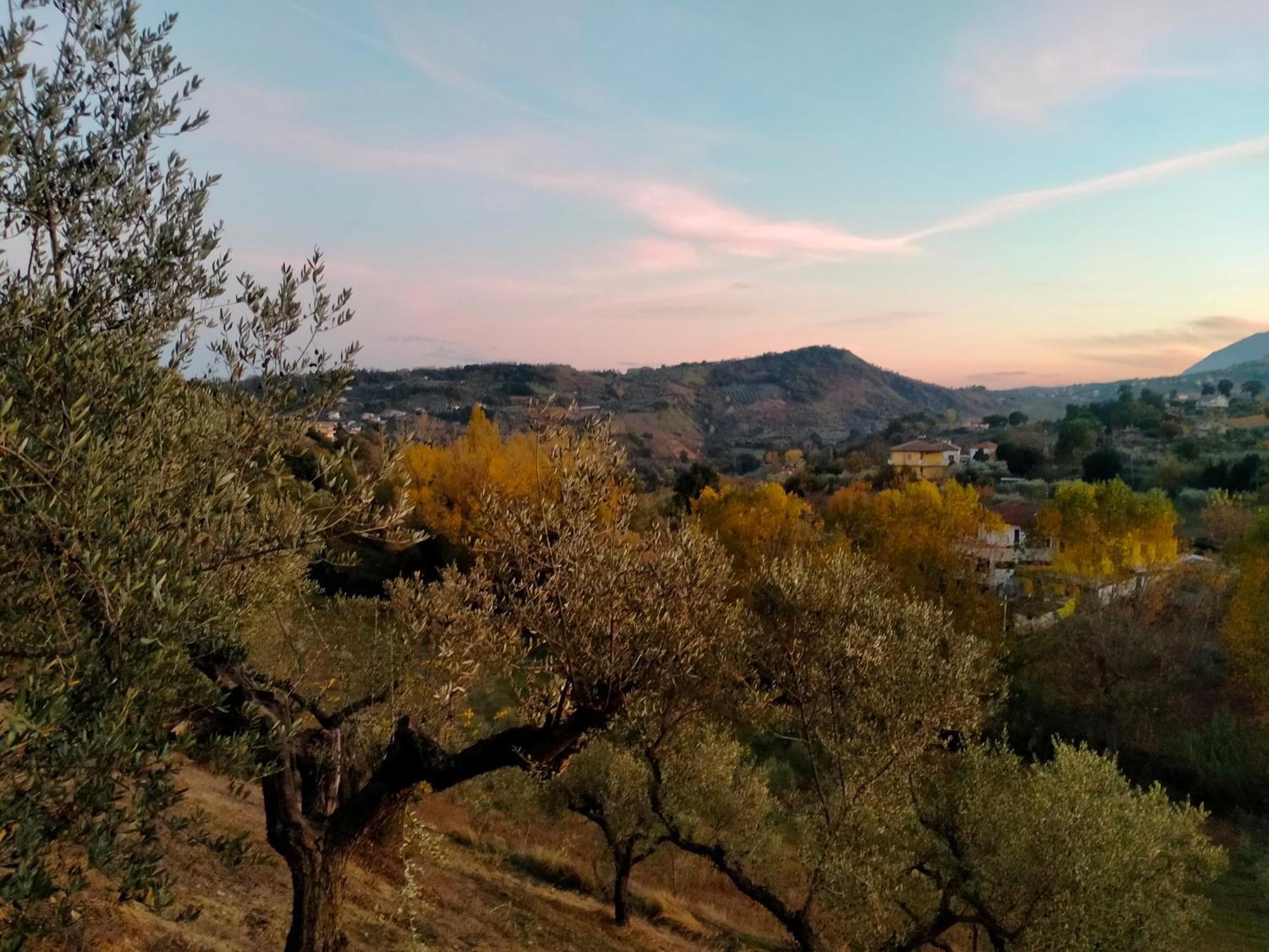 Azienda Agricola "Valle Dell'Alento" Hostal Chieti Exterior foto